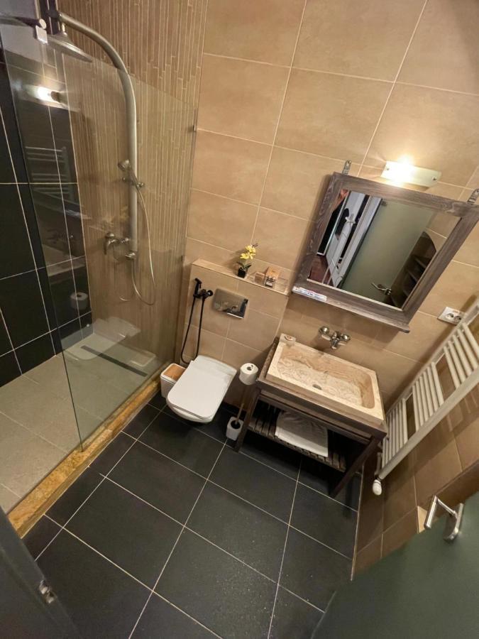 Demiani House Apartment Сибиу Екстериор снимка
